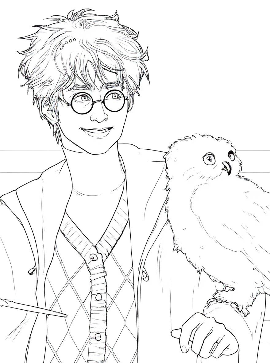 Harry Potter and Hedwig coloring page 3