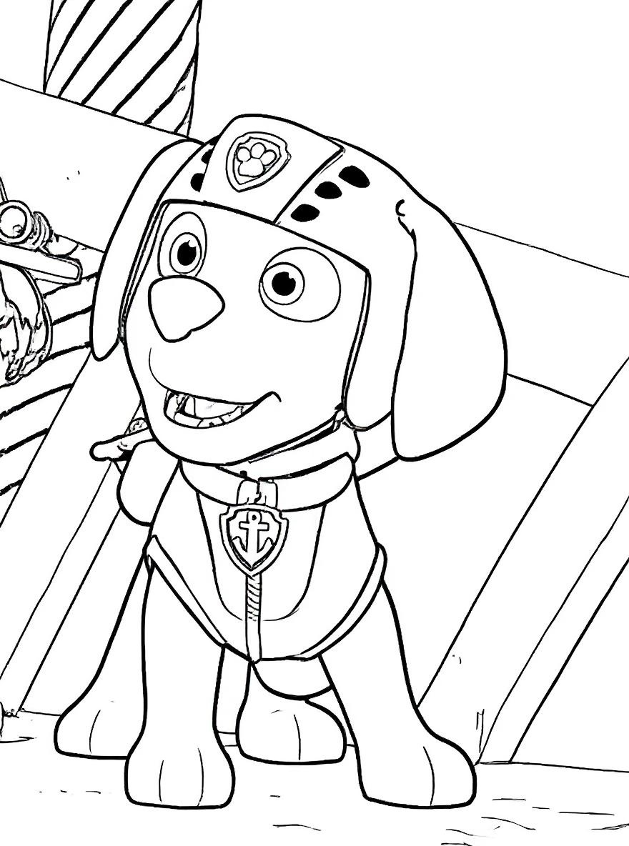 Paw Patrol Zuma coloring page