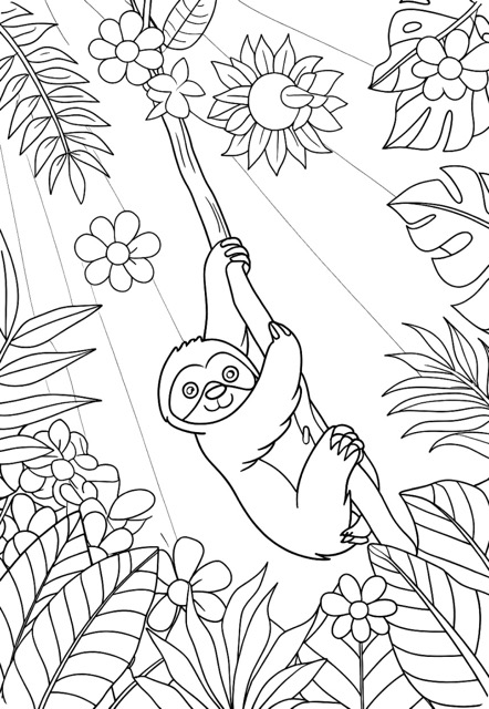 Playful Sloth